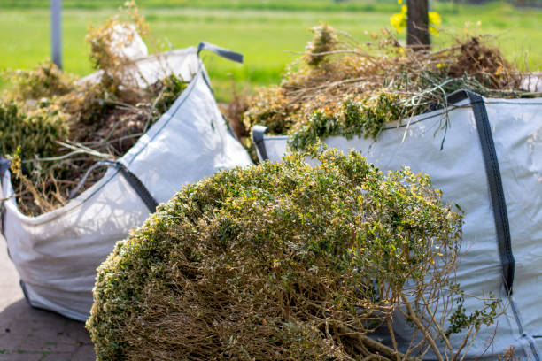 Best Estate Cleanout Services  in Colorado City, TX